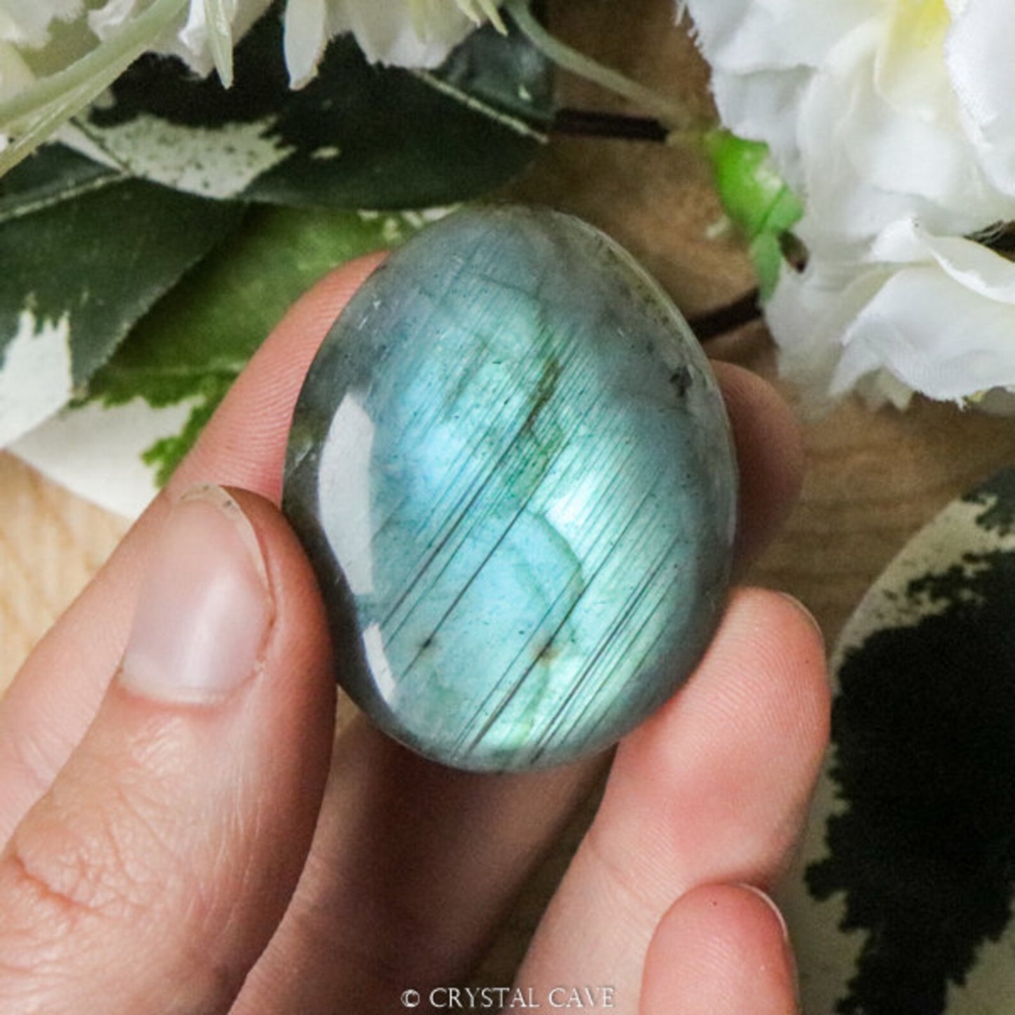 Labradorite - Palm Crystal