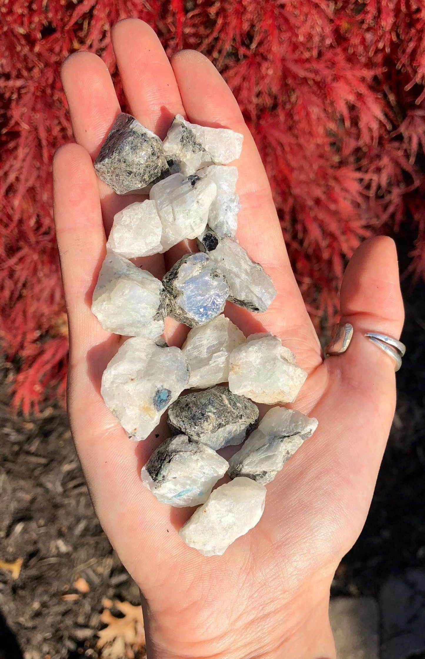 Moonstone - Raw