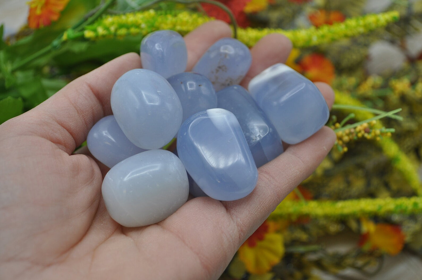 Blue Chalcedony - Tumbled