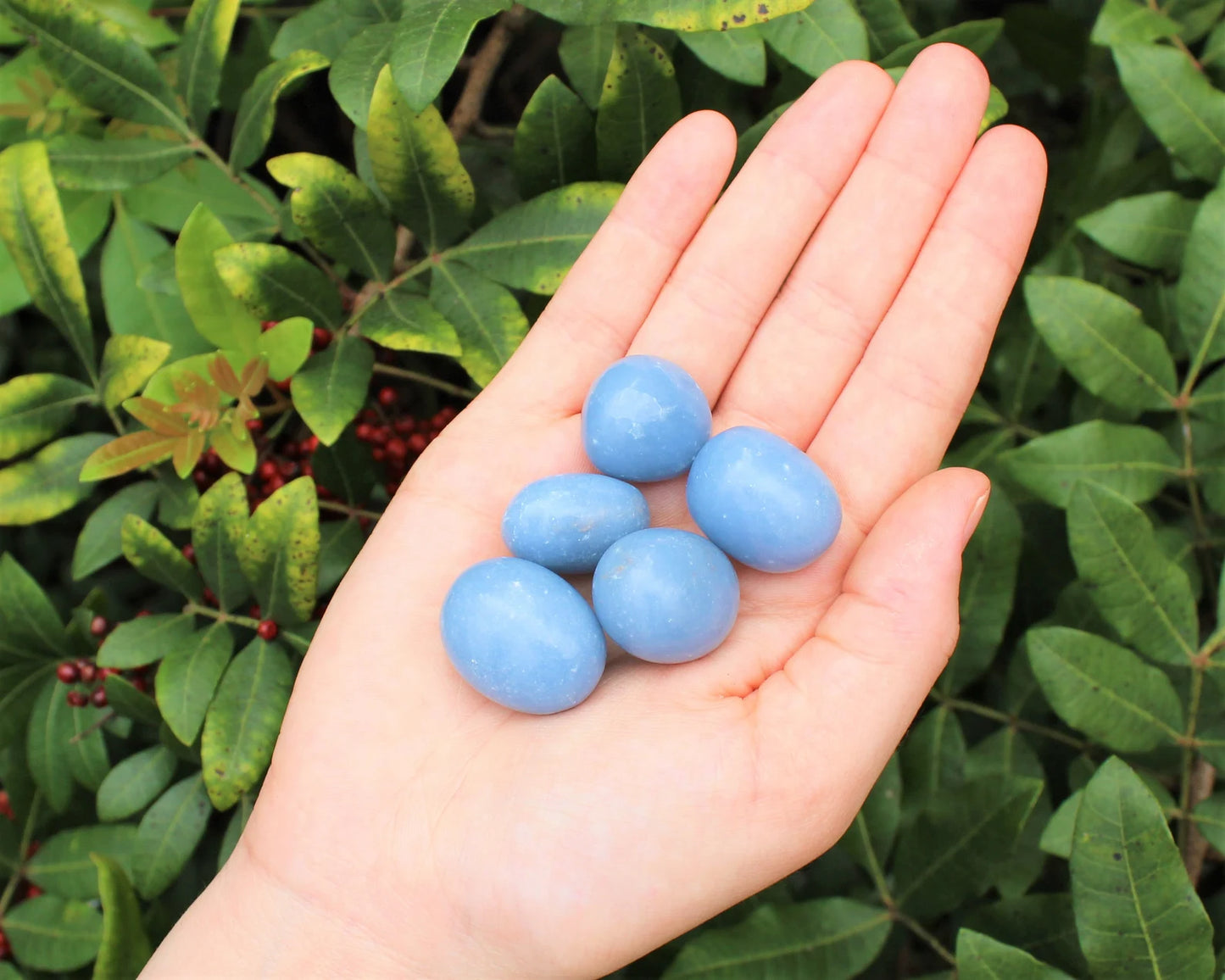 Angelite - Tumbled