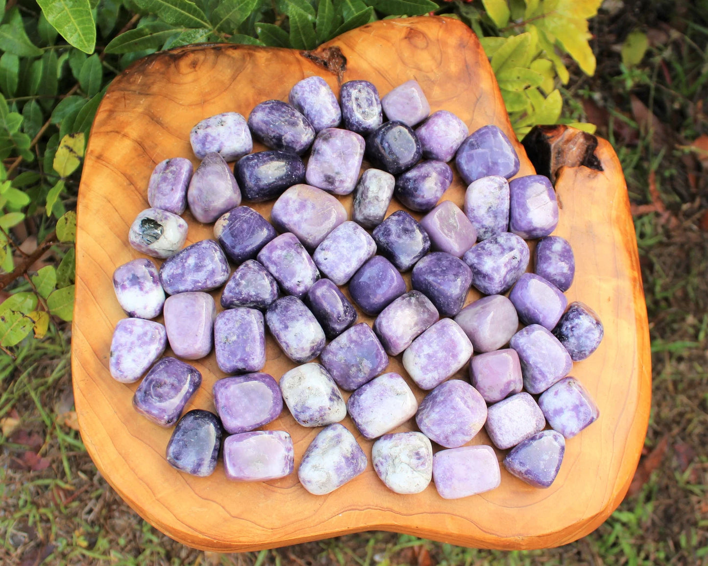 Lepidolite - Tumbled