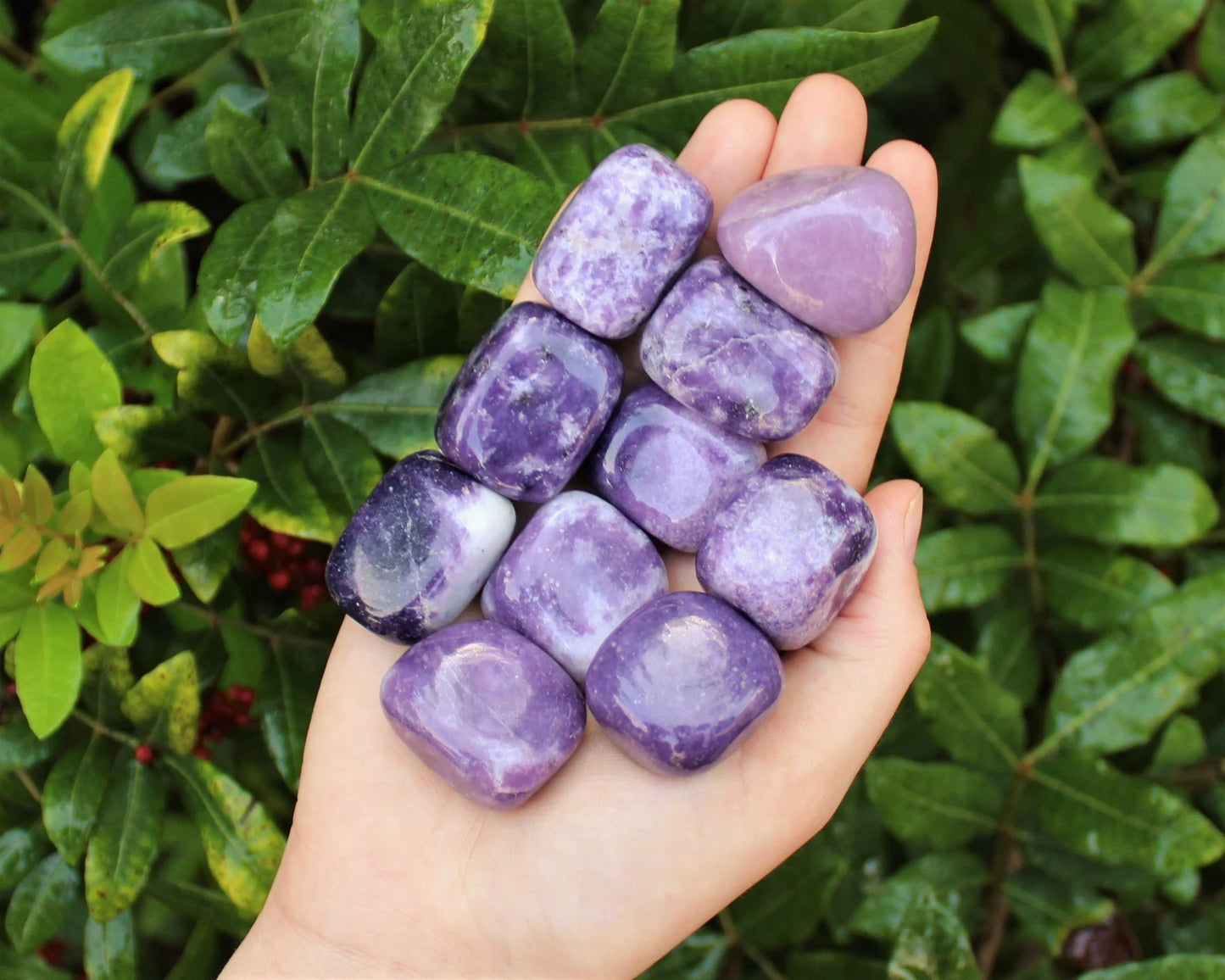 Lepidolite - Tumbled