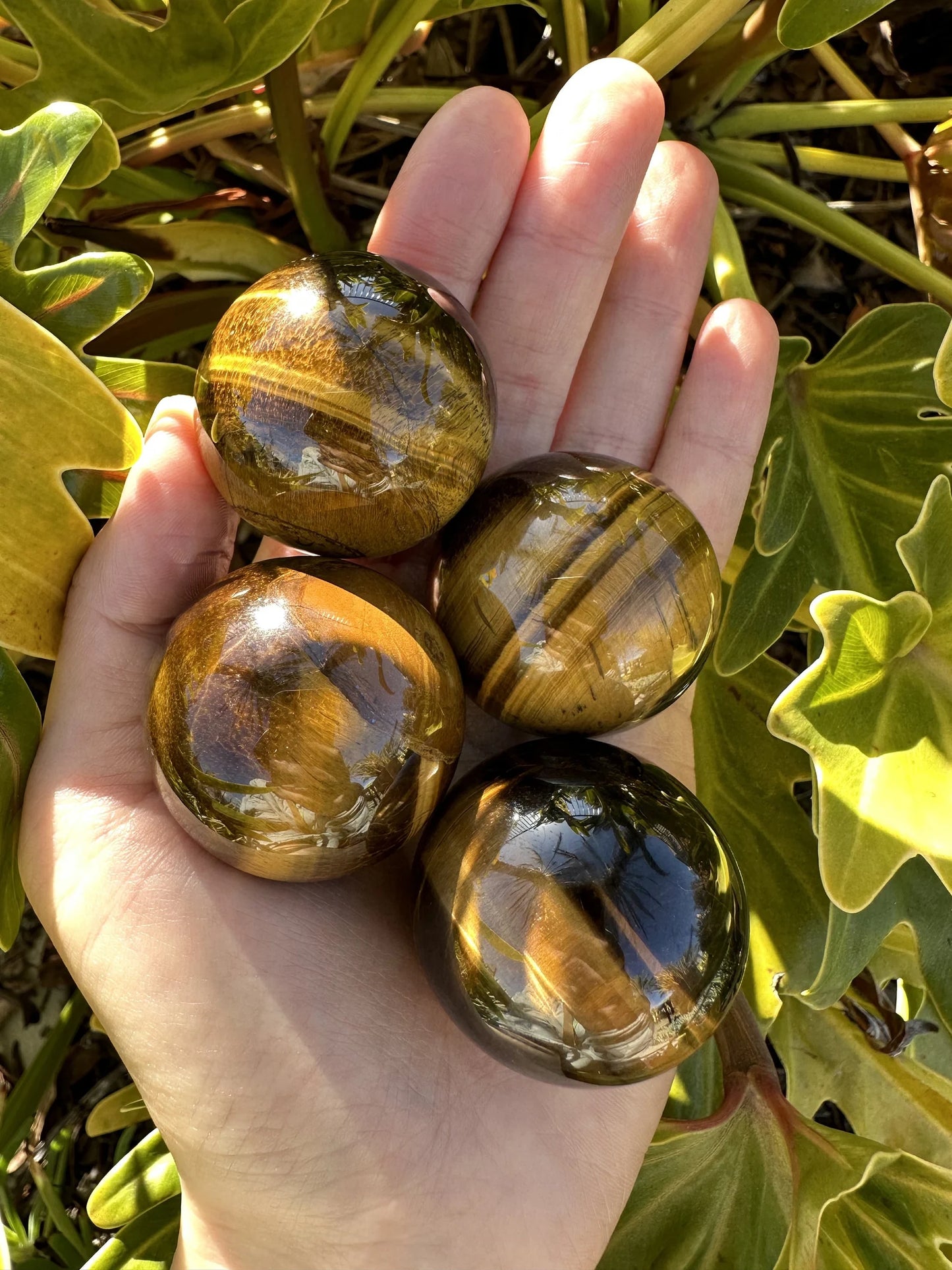 Tiger's Eye - Sphere