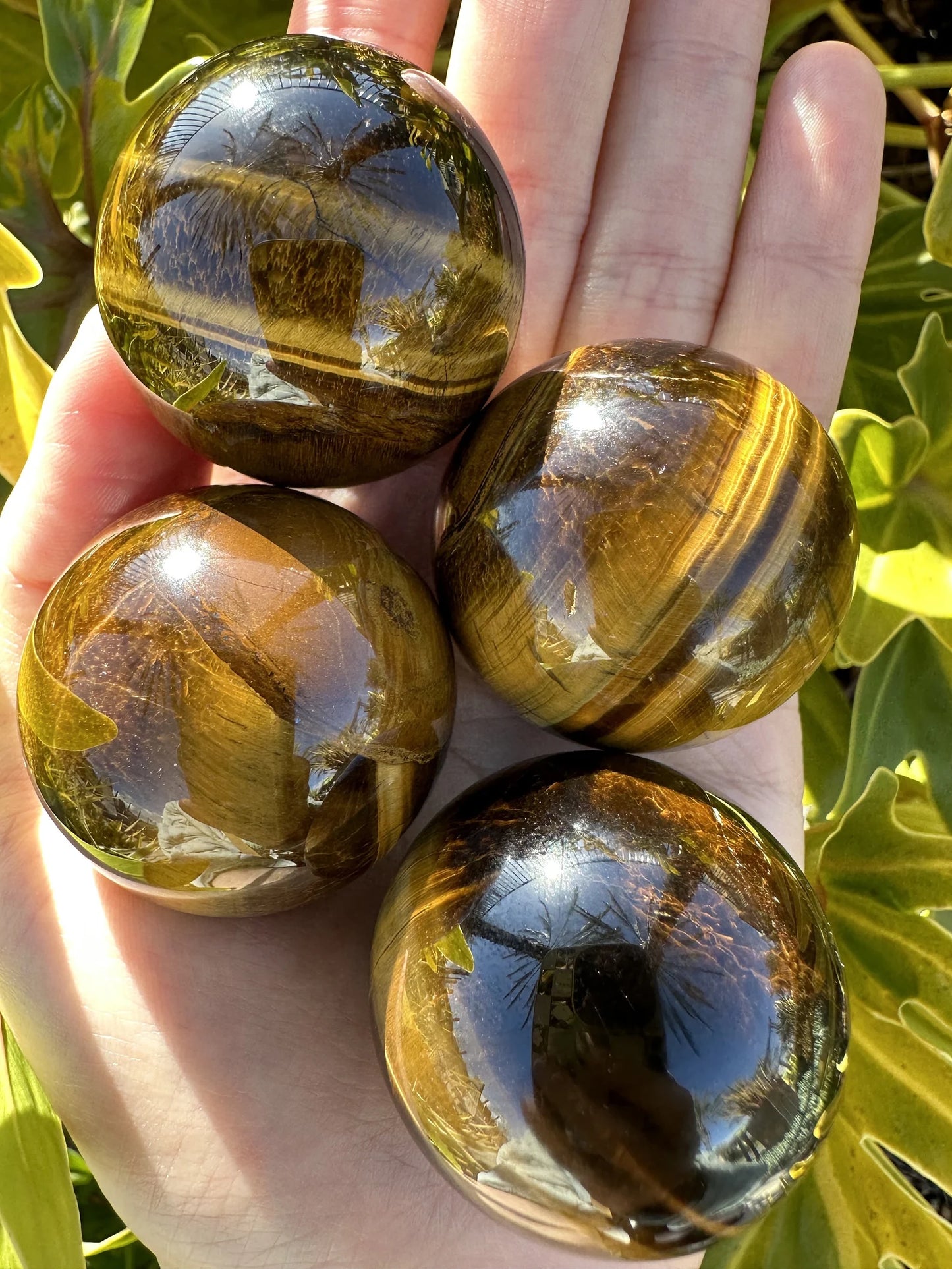 Tiger's Eye - Sphere